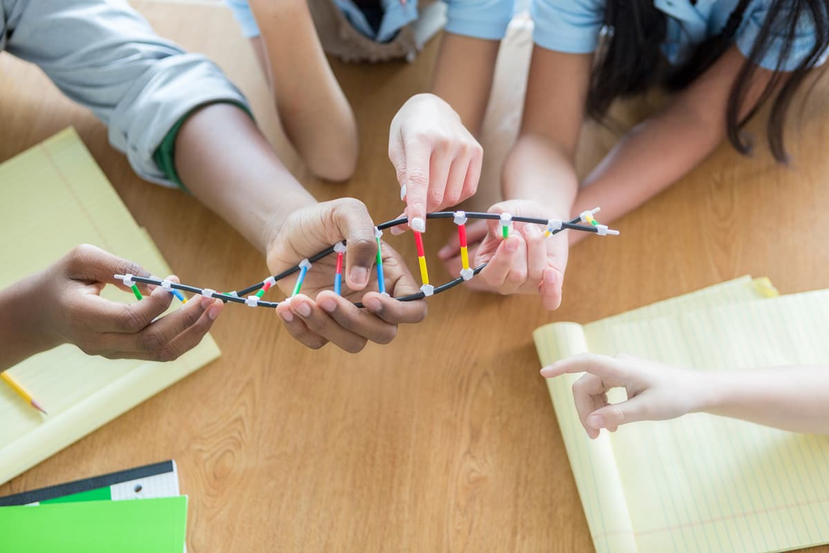 Children with a DNA strand model